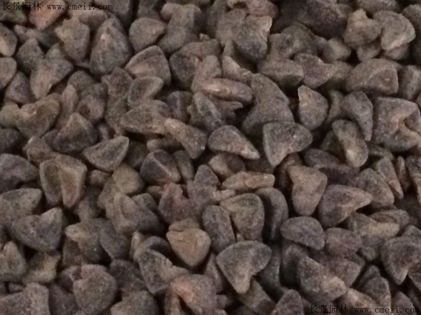 青麻種子