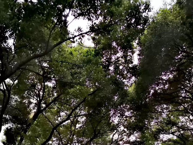 微信圖片_20220818233011.jpg