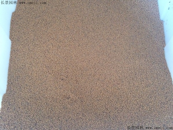 1-1FF61446353a.jpg