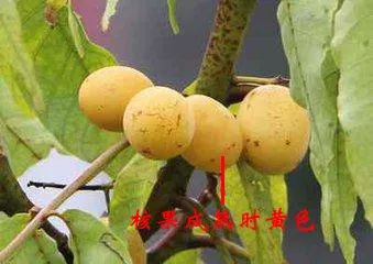 微信圖片_20221120214009.jpg