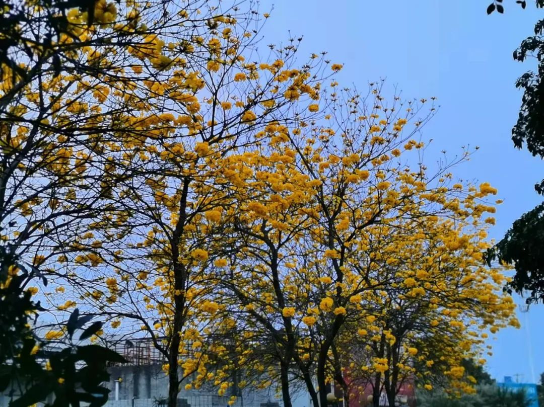 微信圖片_20220821154634.jpg