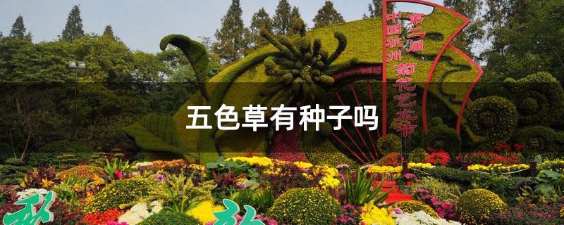 五色草有種子嗎
