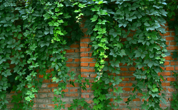 1675490297440971.png 微信圖片_20221129022410.png