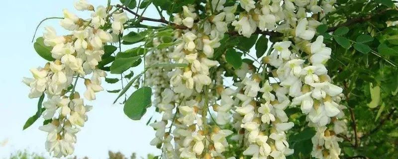 1676177463712977.jpg 微信圖片_20221025220229.jpg