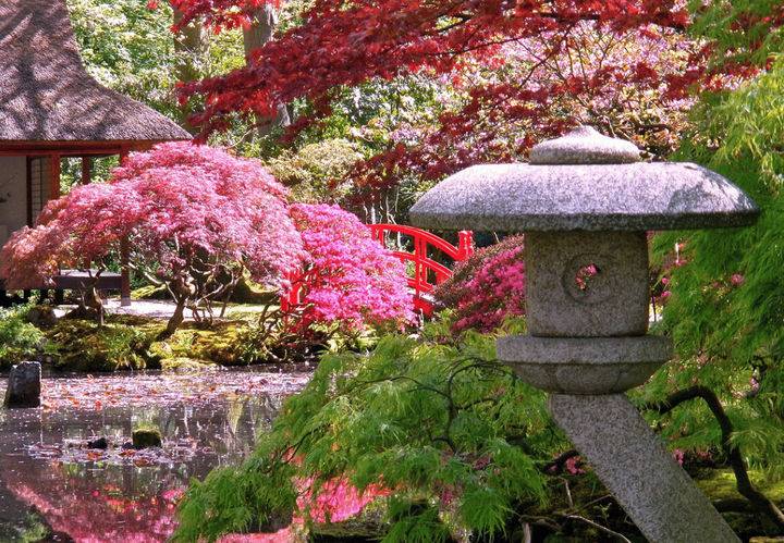 日式庭院和中式庭院有什么區別,哪個好?-日式庭院-青望私家花園設計-1 日式庭院和中式庭院有什么區別,哪個好?-日式庭院-青望私家花園設計-1