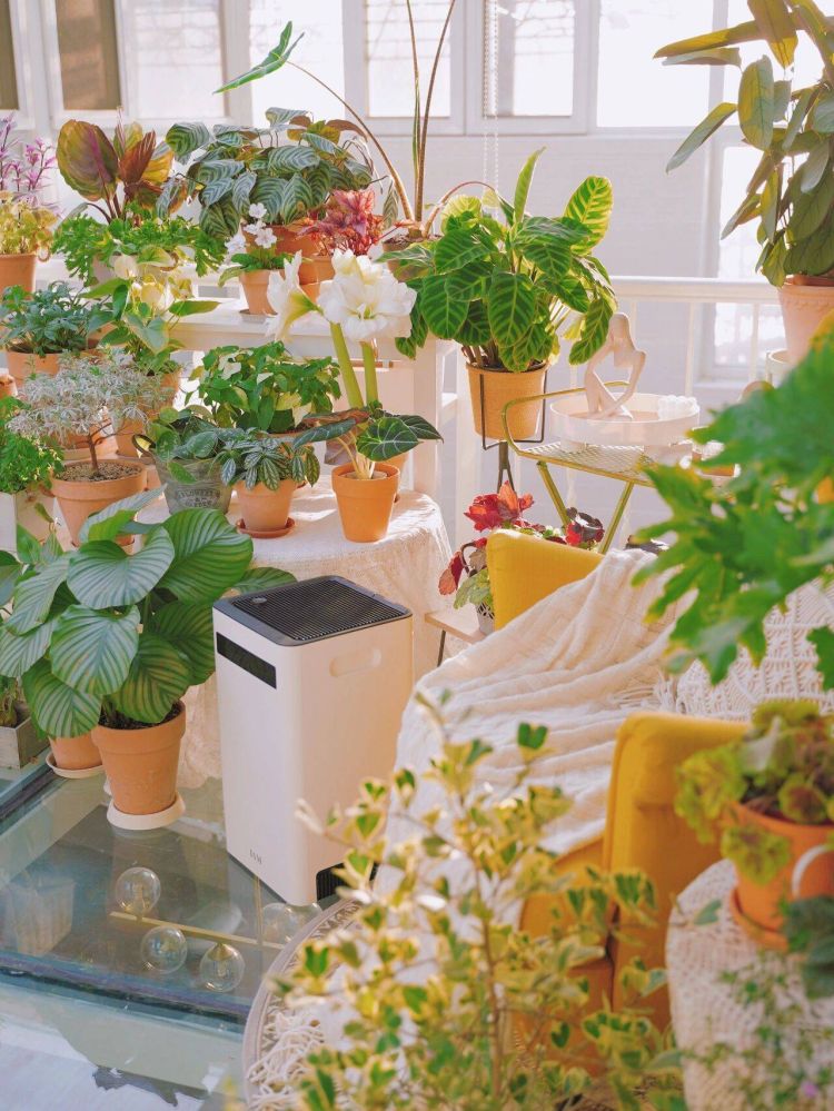 搭建屋頂陽光房花園的問題解答-成都青望園林景觀設計公司-1 搭建屋頂陽光房花園的問題解答-成都青望園林景觀設計公司-1