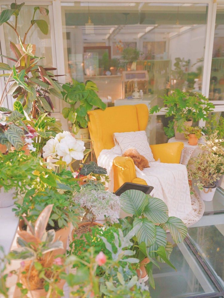 搭建屋頂陽光房花園的問題解答-成都青望園林景觀設計公司-1 搭建屋頂陽光房花園的問題解答-成都青望園林景觀設計公司-1