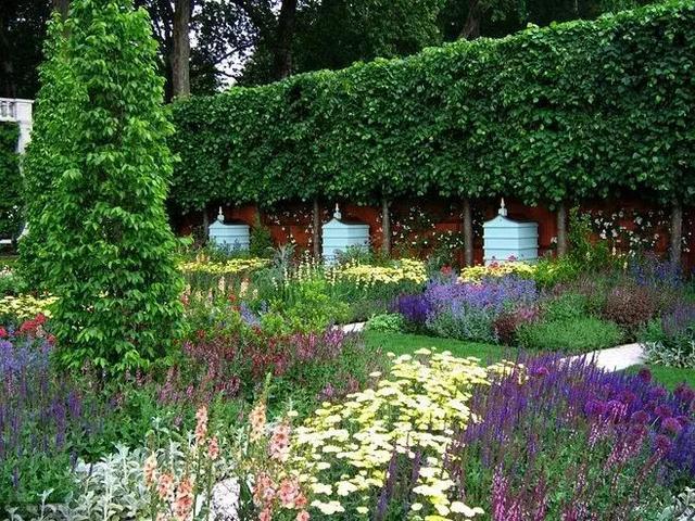 英式灌木花園-成都青望園林景觀設計公司