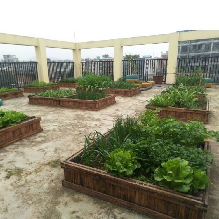 屋頂花園種菜怎么設計規劃合理-青望私家花園設計-1