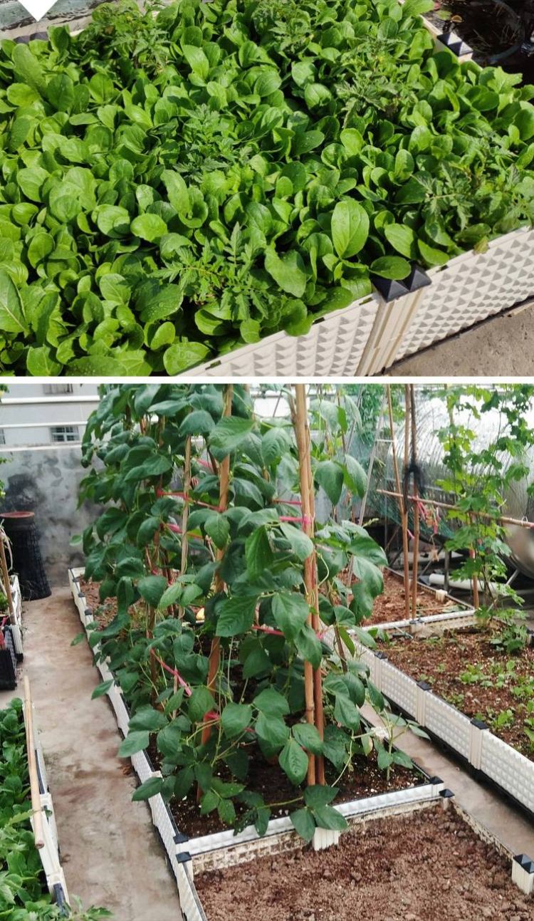 屋頂花園種菜怎么設計規劃合理-青望私家花園設計-1