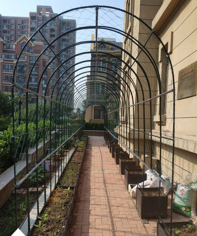 屋頂花園種菜怎么設計規劃合理-青望私家花園設計-1