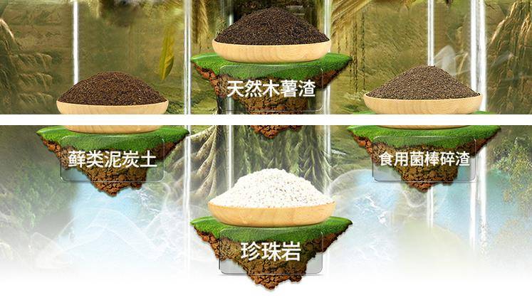 屋頂花園種菜怎么設計規劃合理-青望私家花園設計-1