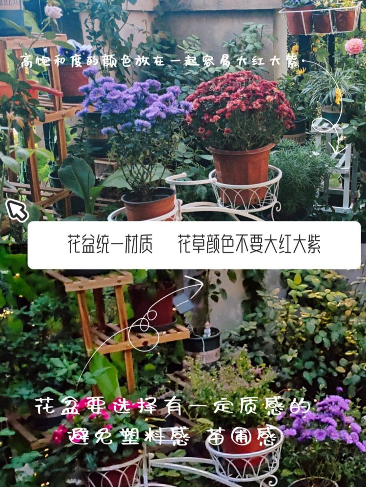 小花園設計裝修5個避坑建議，新手必看-成都青望園林景觀設計公司-1