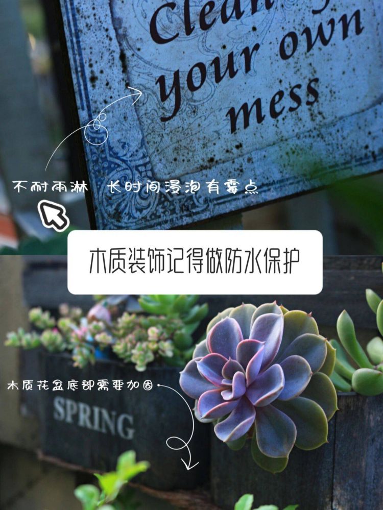 小花園設計裝修5個避坑建議，新手必看-成都青望園林景觀設計公司-1