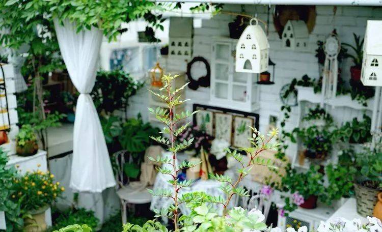 80平屋頂花園設計實景圖案例，效果非常理想-青望私家花園設計-1
