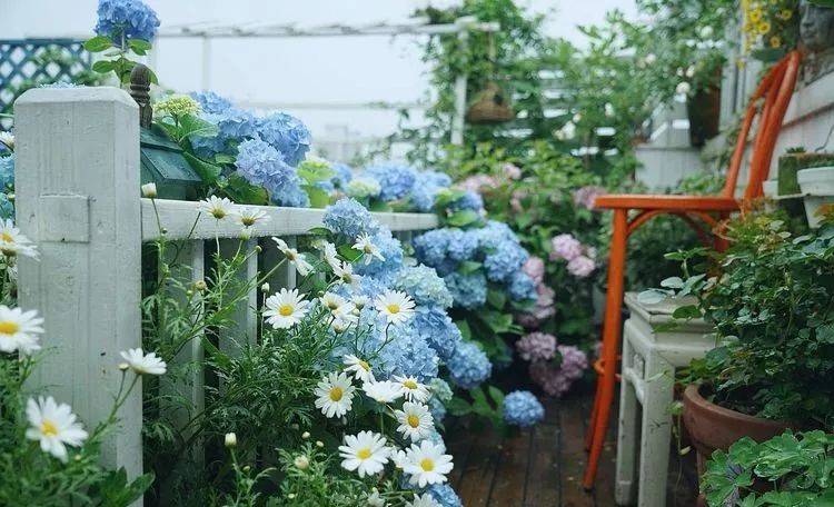 80平屋頂花園設計實景圖案例，效果非常理想-青望私家花園設計-1