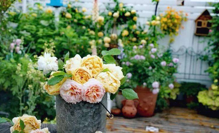 80平屋頂花園設計實景圖案例，效果非常理想-青望私家花園設計-1