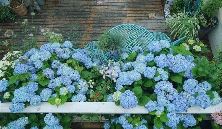 80平屋頂花園設計實景圖案例，效果非常理想-青望私家花園設計-1