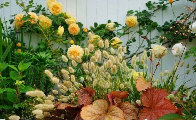 80平屋頂花園設計實景圖案例，效果非常理想-青望私家花園設計-1