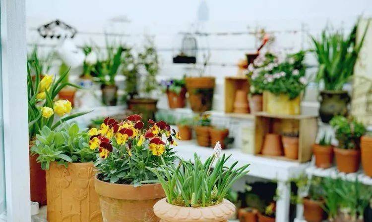 80平屋頂花園設計實景圖案例，效果非常理想-青望私家花園設計-1