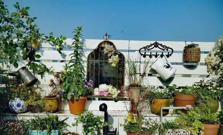 80平屋頂花園設計實景圖案例，效果非常理想-青望私家花園設計-1