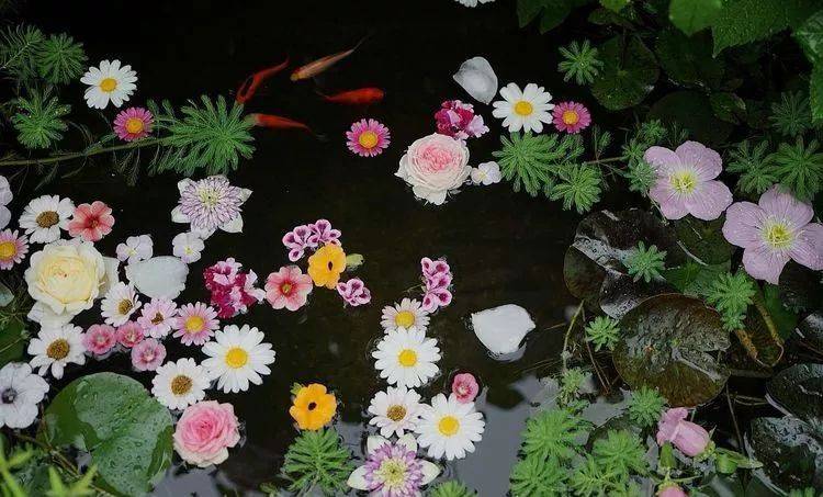 80平屋頂花園設計實景圖案例，效果非常理想-青望私家花園設計-1