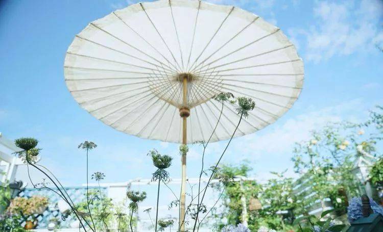 80平屋頂花園設計實景圖案例，效果非常理想-青望私家花園設計-1