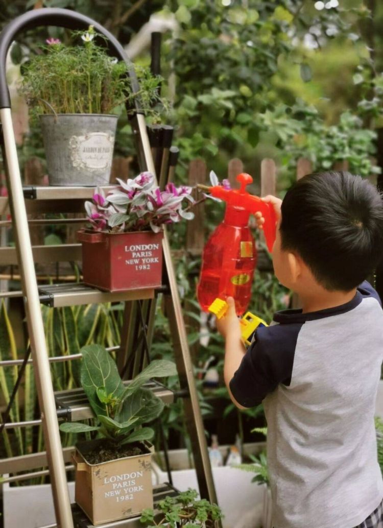 30平米一樓花園實景圖_住一樓花園洋房體驗感受-成都青望園林景觀設計公司-1