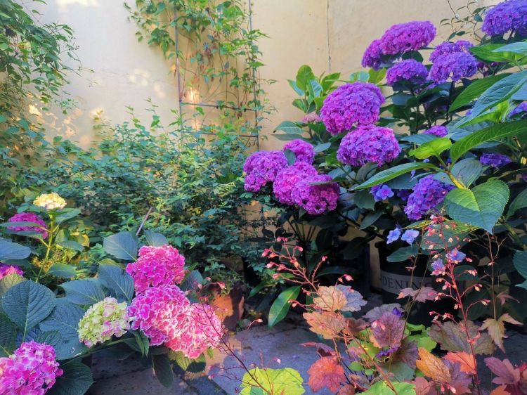 200平一樓花園庭院設計裝修-成都青望園林景觀設計公司-1 200平一樓花園庭院設計裝修-成都青望園林景觀設計公司-1