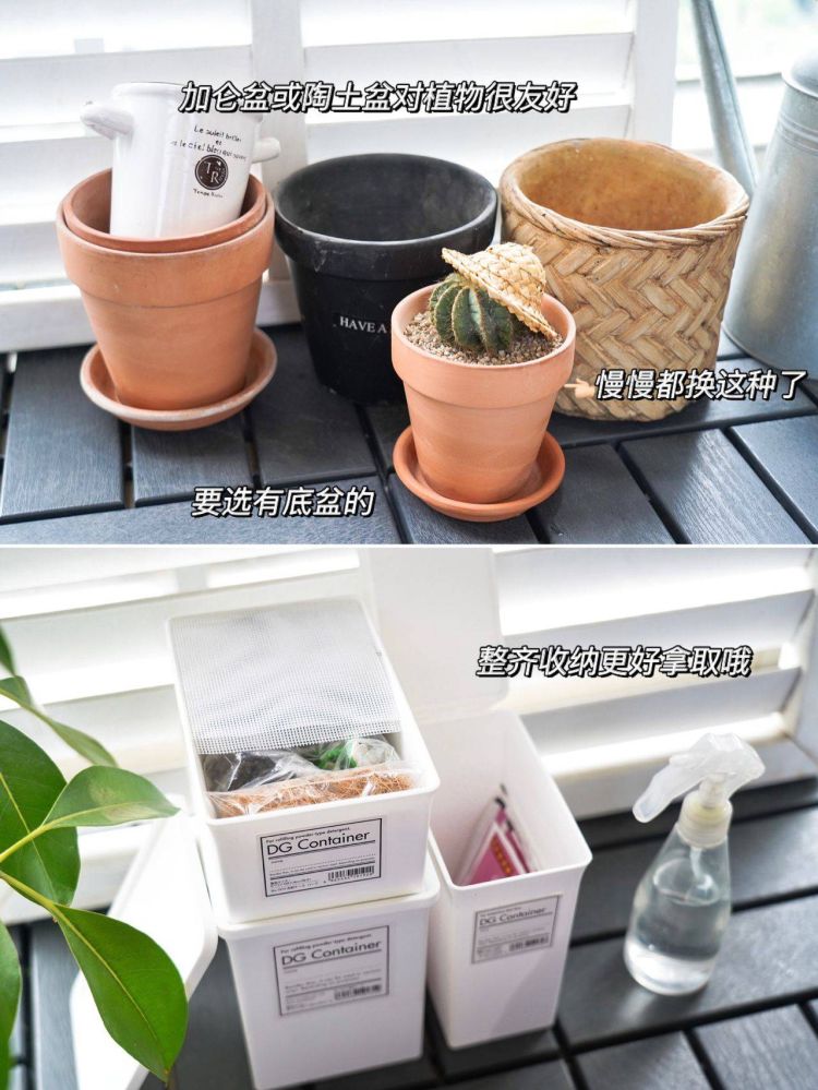 6平米陽臺小花園設計布置打造-成都青望園林景觀設計公司-1 6平米陽臺小花園設計布置打造-成都青望園林景觀設計公司-1