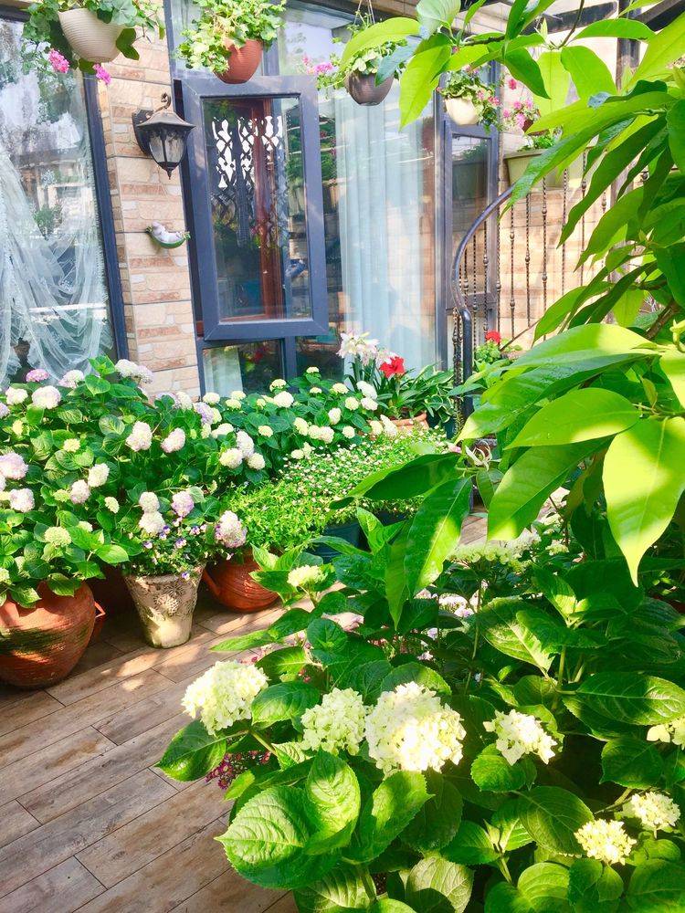 45平方樓頂花園實景圖-青望私家花園設計-1