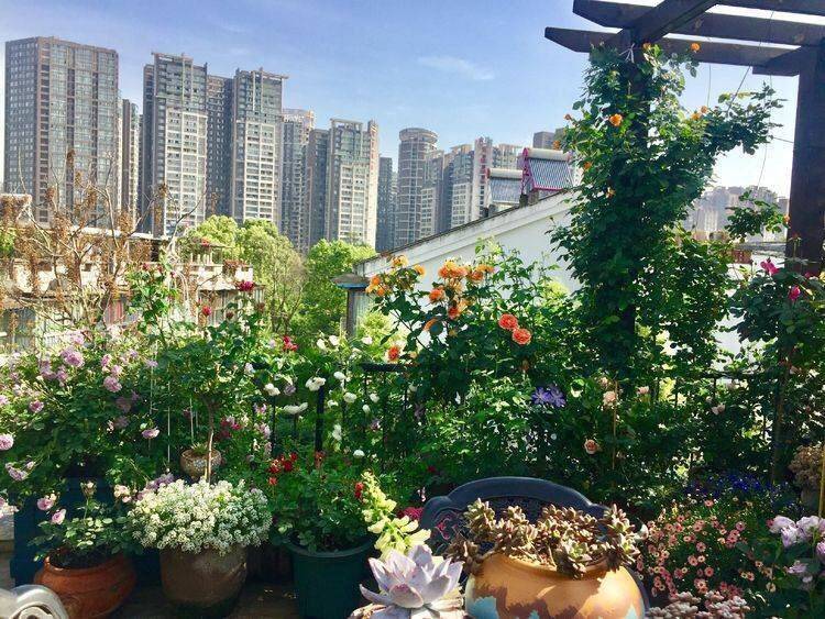45平方樓頂花園實景圖-青望私家花園設計-1