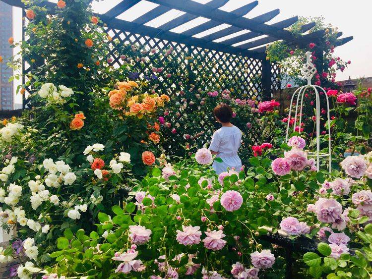 45平方樓頂花園實景圖-青望私家花園設計-1