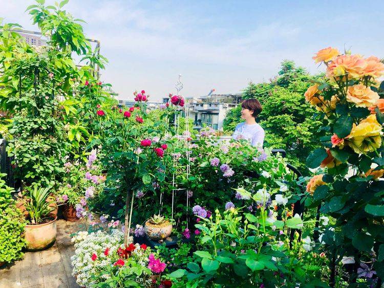 45平方樓頂花園實景圖-青望私家花園設計-1