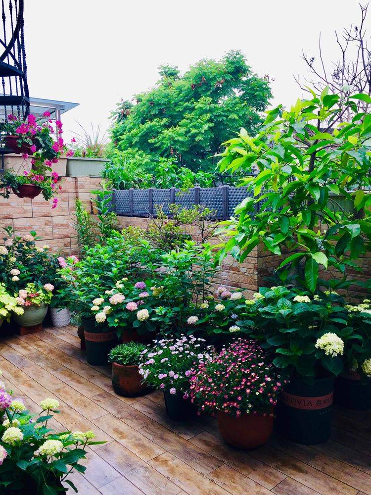 45平方樓頂花園實景圖-青望私家花園設計-1